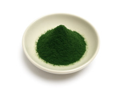 Chlorella powder organic