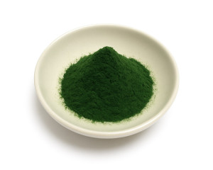 Chlorella powder organic