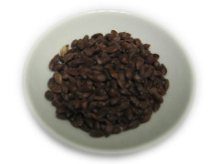 Ephedra Nevadensis Seeds