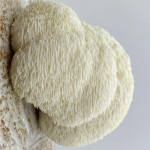Hericium solution