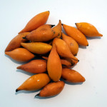 Iboga Fruit