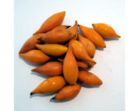 Iboga Fruit