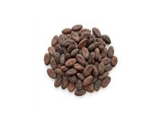 Cocoa Beans - organic