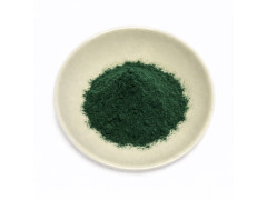 Spirulina powder organic